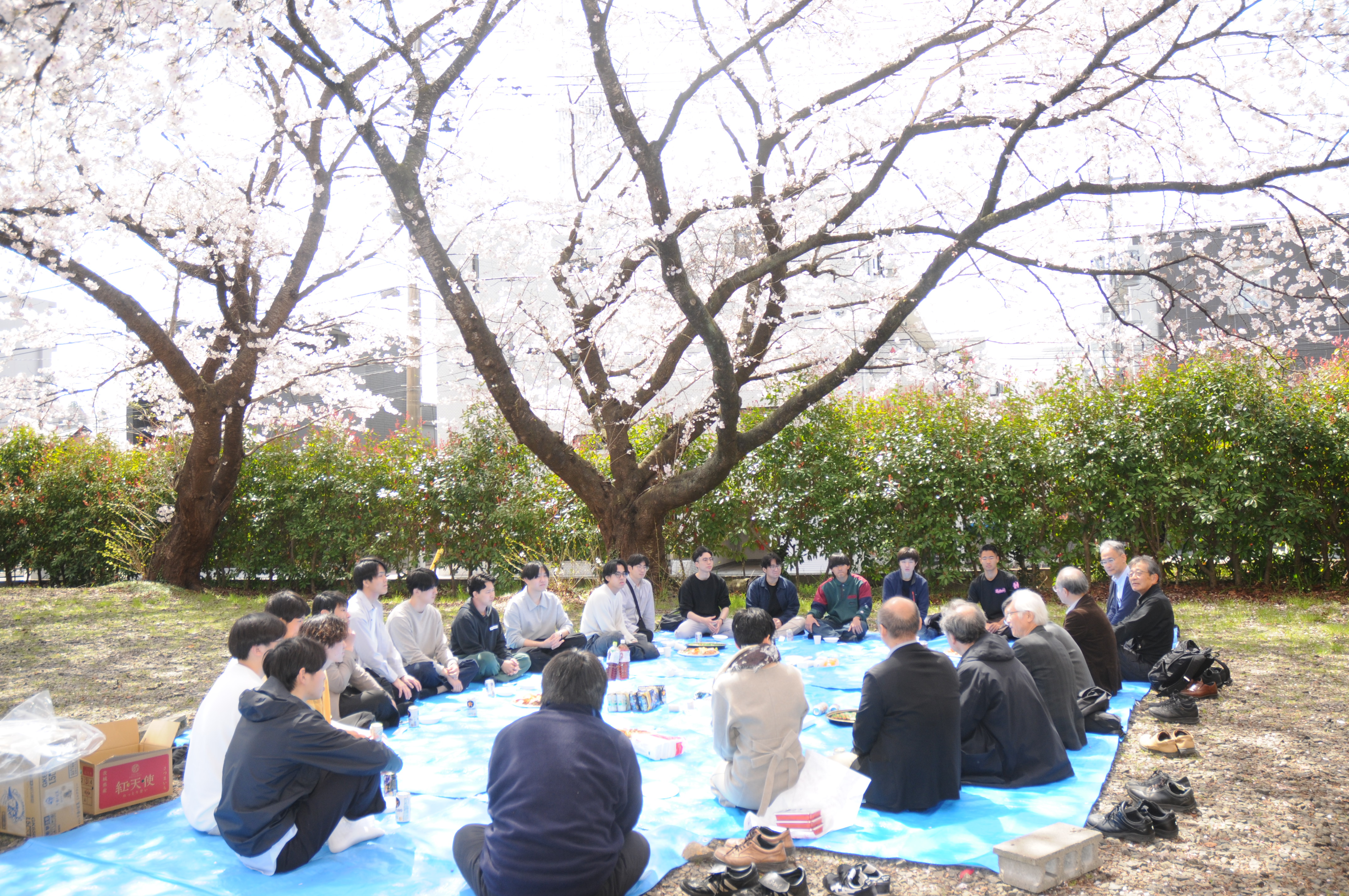 hanami